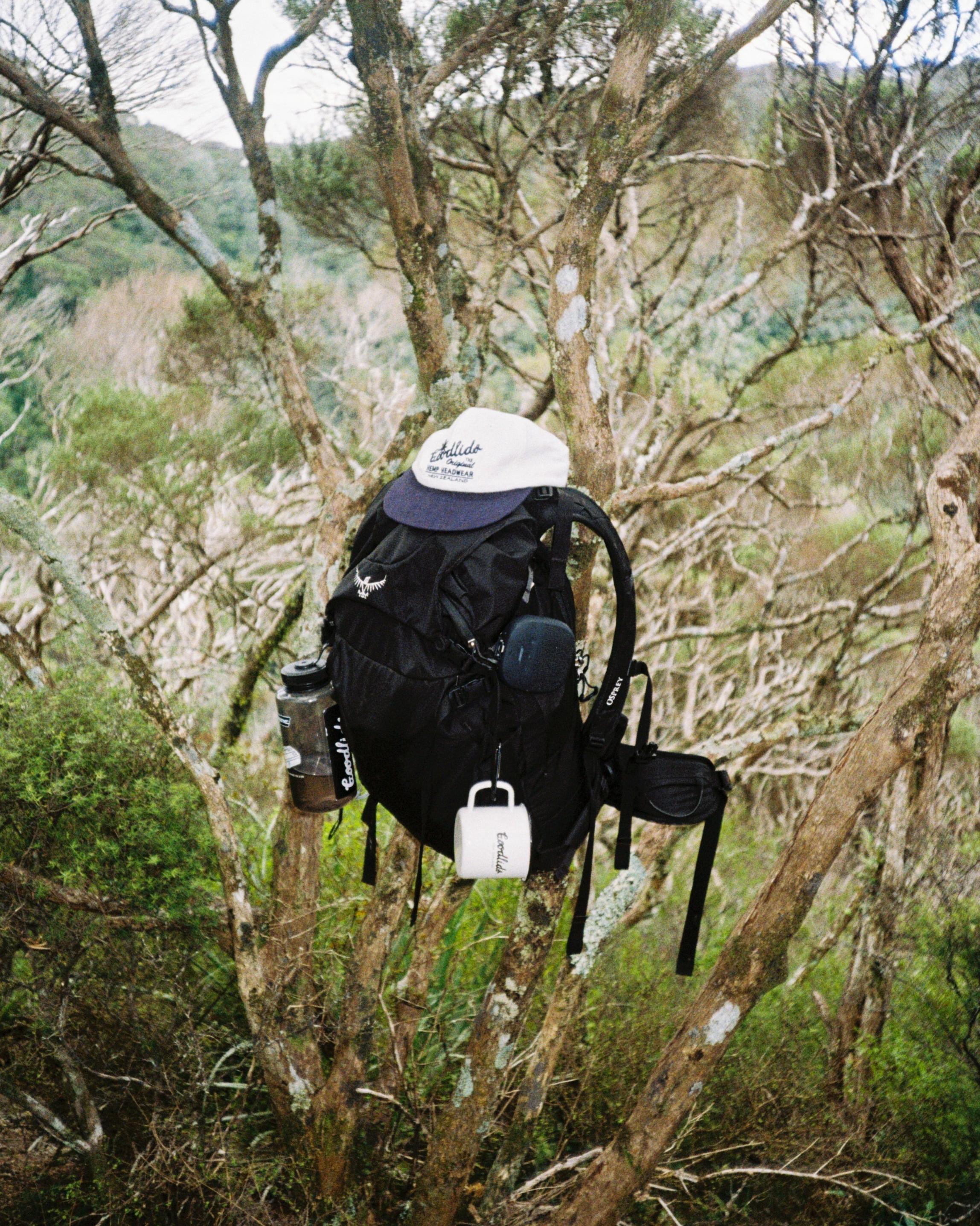 Classic Circle Brim - White/Navy