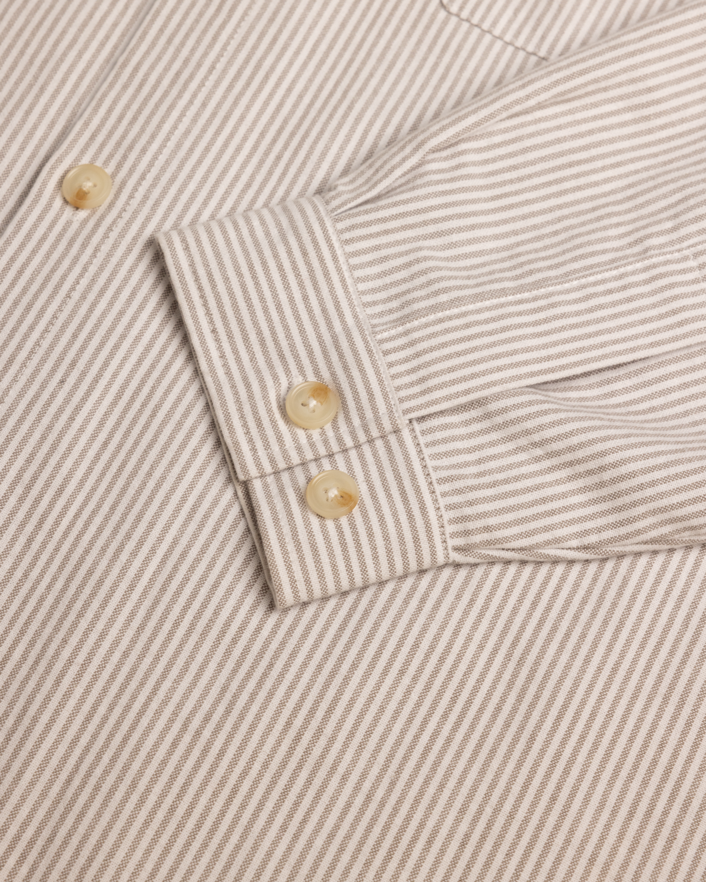 Relaxed Oxford - Brown Stripe