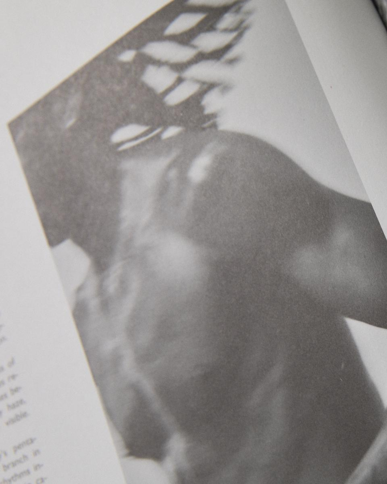 Amateurs Mag - Issue 2