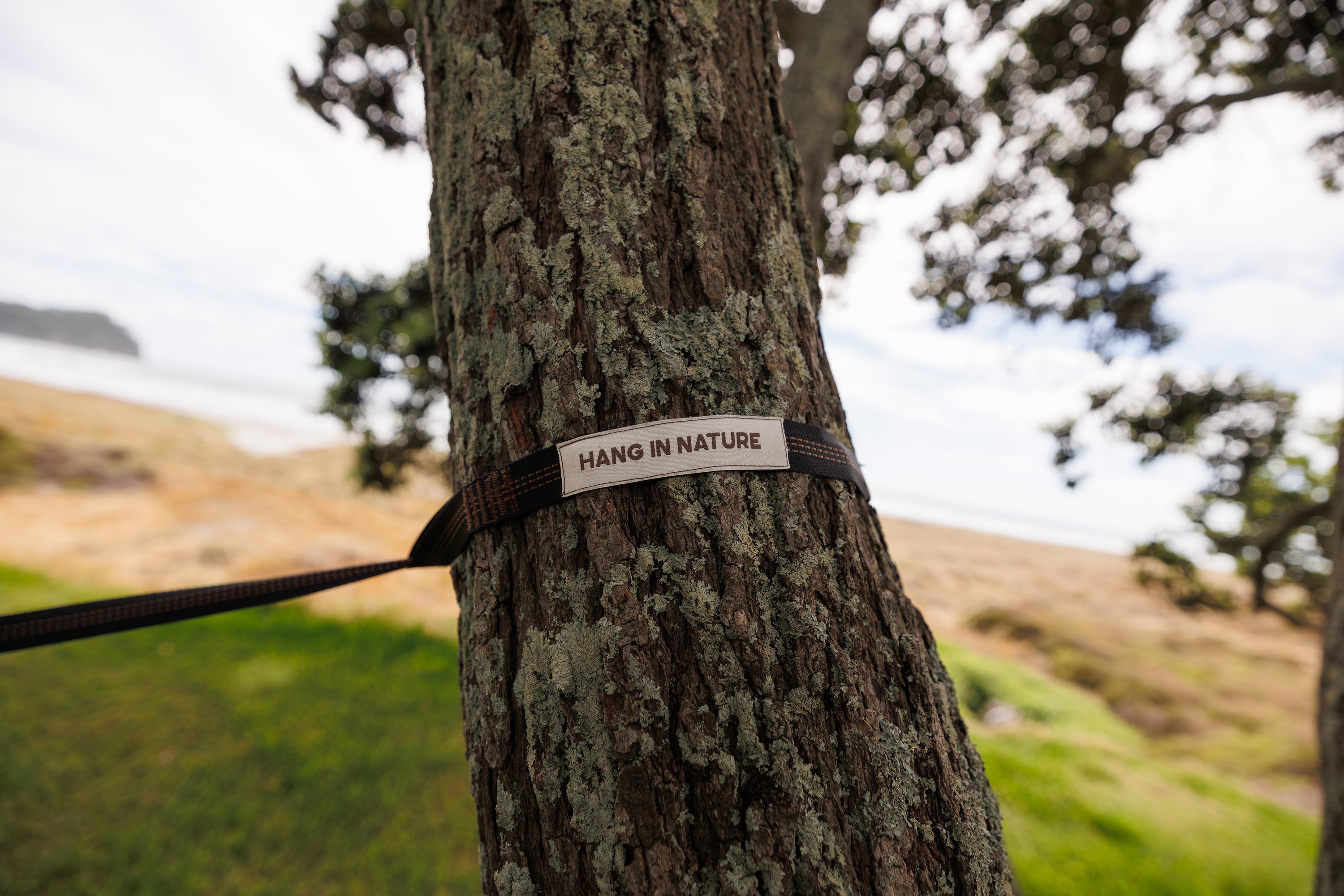Twill Hammock - Brown