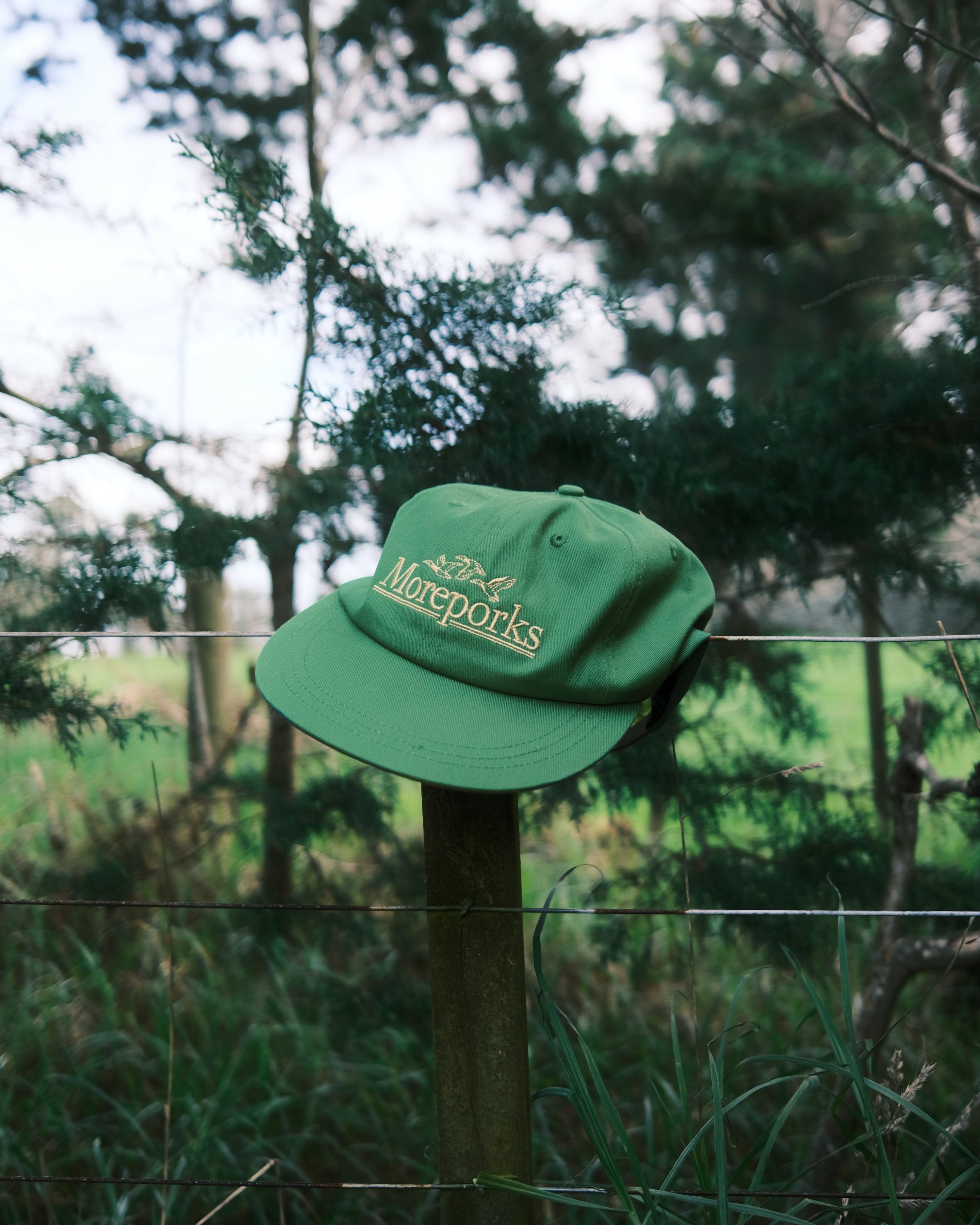 Geese Six-Panel - Green