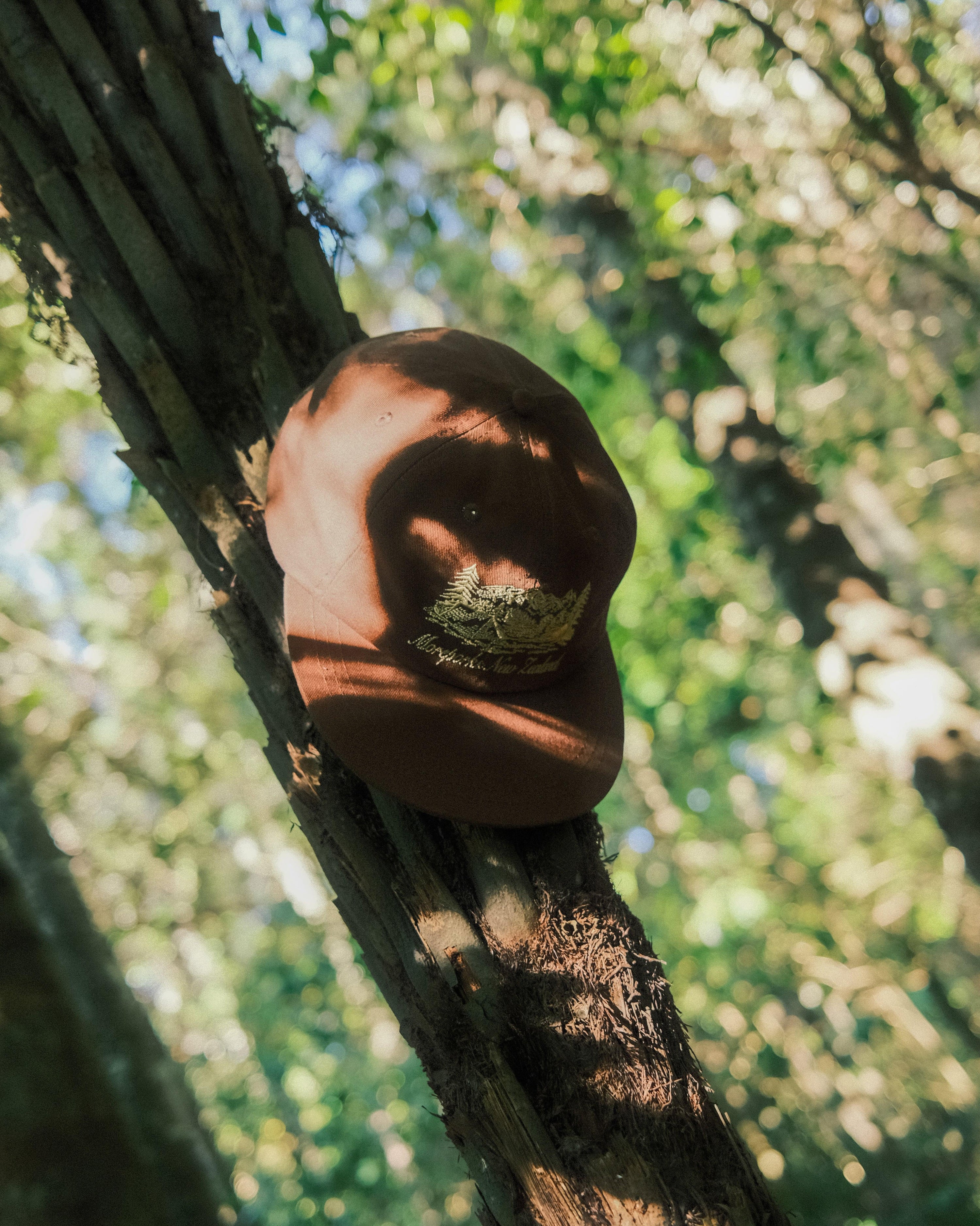 Mackenzie Six-Panel - Brown