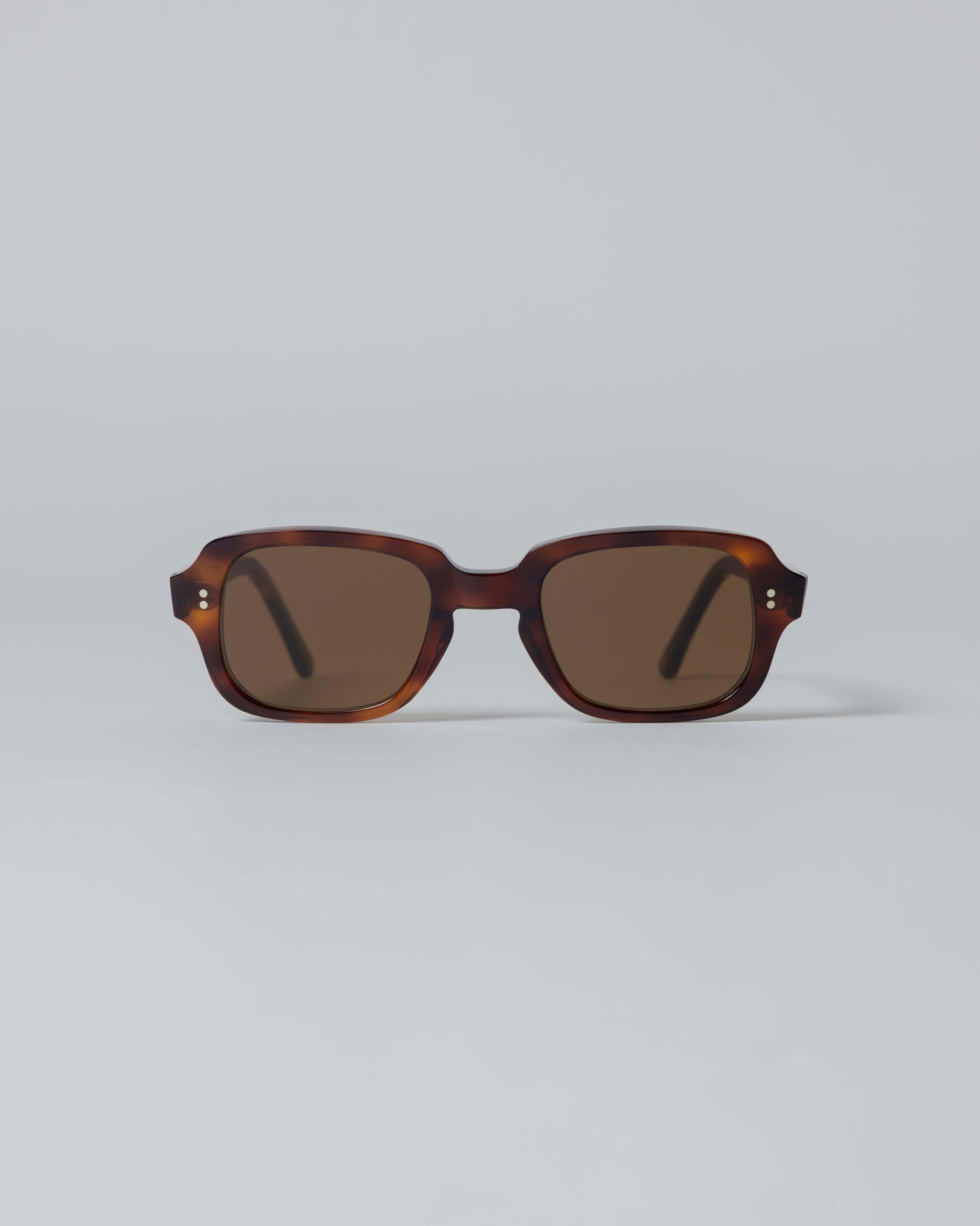 Southern Wayfarer - Tortoise