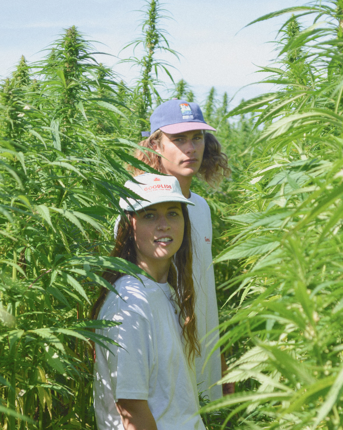 Scenic Lid - Navy/Lavender