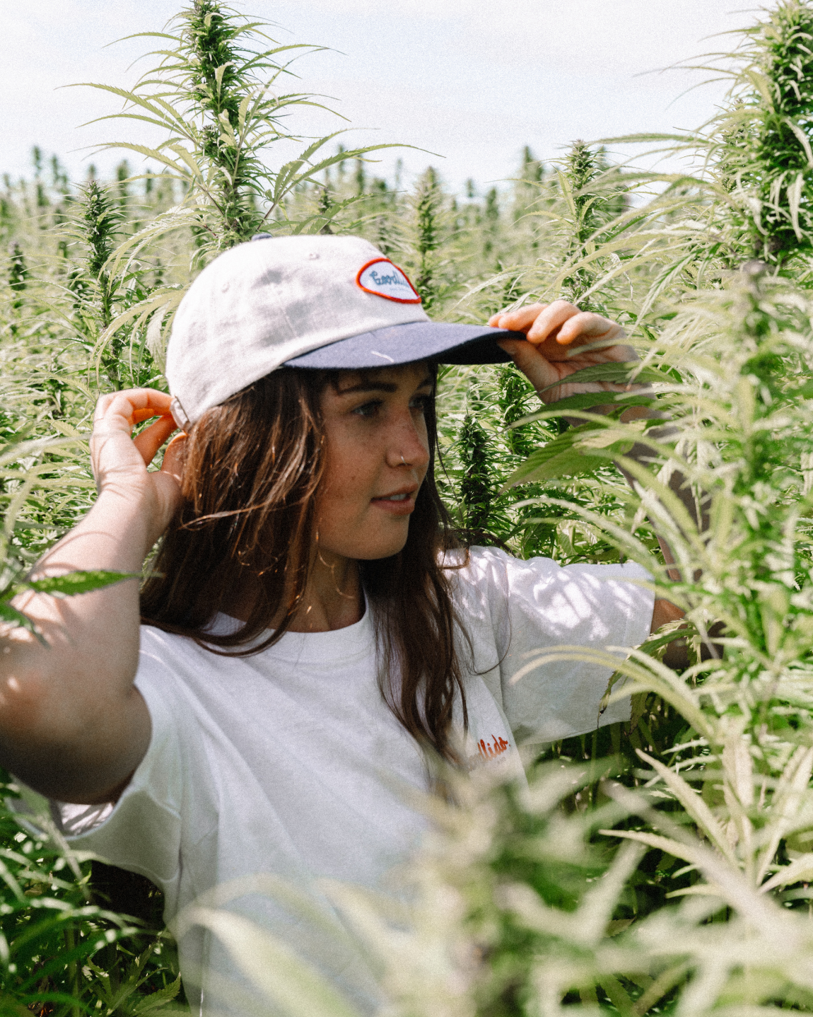 Signature Lid - White/Navy